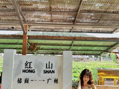 -红山村