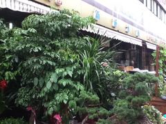 -本溪路花鸟市场(江浦路1709弄小区店)