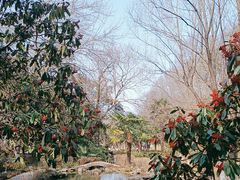 -南山风景名胜区