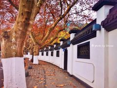 -北山街历史文化街区