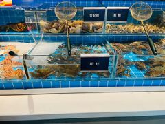 -渔纬港海鲜自助餐厅(湖里万达店)