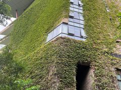-深圳隐秀山居酒店