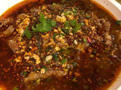 水煮牛肉-夫妻肺片·中华老字号·正宗川菜(春熙路店)