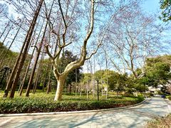 -徐家汇源景区-衡山公园