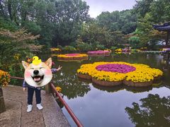 -汇龙潭