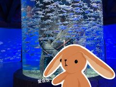 -哈尔滨波塞冬海底世界