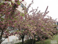 -南京晓庄学院(莫愁校区)