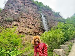 -湖洞水自然风景区