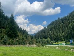 -芦芽山旅游度假区