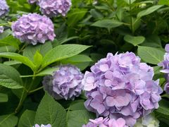 -常州古运河南大街文化旅游区-人民公园