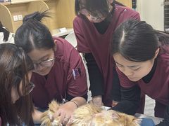-美联众合爱康动物医院•复杂内科•肿瘤科•牙科•腔镜诊疗中心