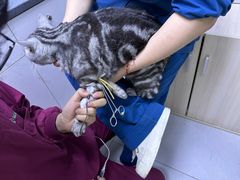 -瑞派宠物医院(锦江店)