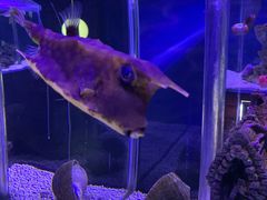 -太平洋海底世界