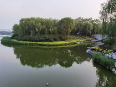 -大兴滨河森林公园