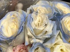 -循礼门鲜花花市(武汉循礼门店)