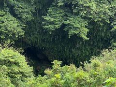 -海口火山口国家地质公园