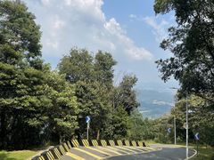 -黄埔油麻山森林公园