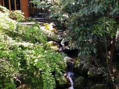 -天明山温泉大酒店
