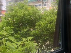 -NAMO印度餐厅