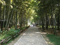 -同里国家湿地公园