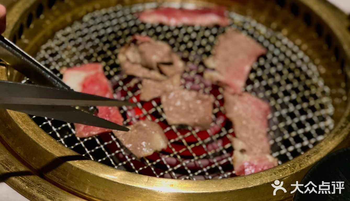 阿雨的梦想就是吃遍中国🍗🥘🍛