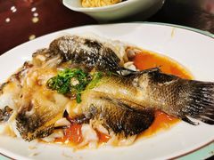 清蒸云斑鱼-好口味小吃楼·东北菜(太原南街店)