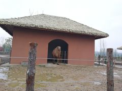 -祥源·阜阳生态乐园