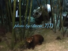 标本-吉林省自然博物馆