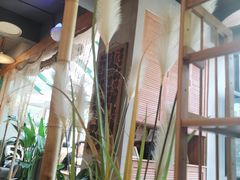 -越美小馆·越南料理(曲江店)