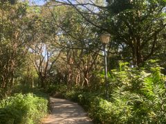 -深圳湾公园(南山区)