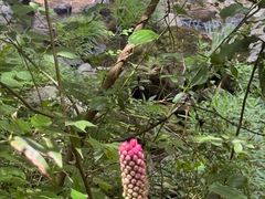 -溪口-滕头旅游景区