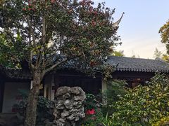 -秋霞圃