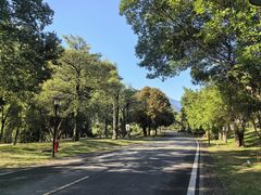 -福建鲤鱼洲酒店