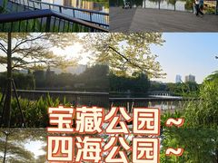 -四海公园(南山区)