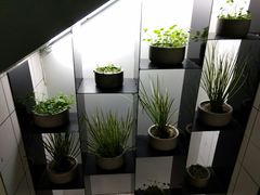 -手拉手美食(清河路店)