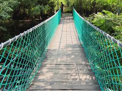-石台牯牛降景区