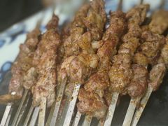 -撒拉花儿·新疆菜·清真(太阳宫店)