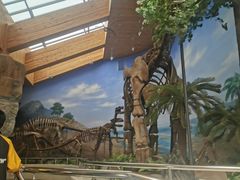 -延庆地质公园博物馆