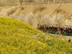 -古柏渡飞黄旅游区