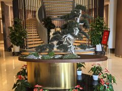 -松鹤楼(狮山永利广场店)