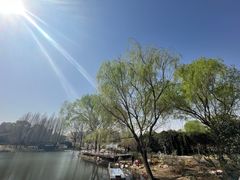 -郑州植物园
