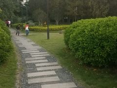 -金山公园