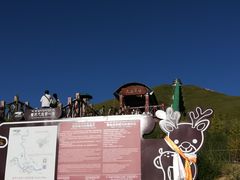 -黄河九曲第一湾