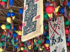 -西双版纳原始森林公园