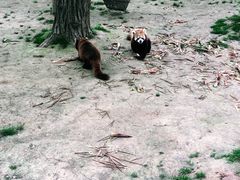 -西安秦岭野生动物园