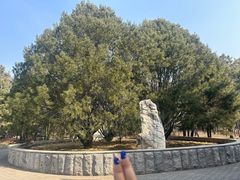 -北京十三陵国家森林公园蟒山景区