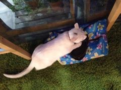 iphone_upload_pic-MIKAKU(万达广场上海宝山店)