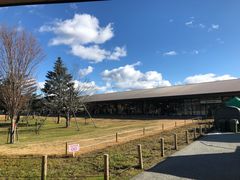 -轻井泽王子购物广场