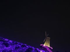 -大塘金香草谷