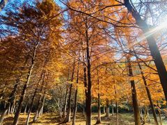 -南京市无想山景区